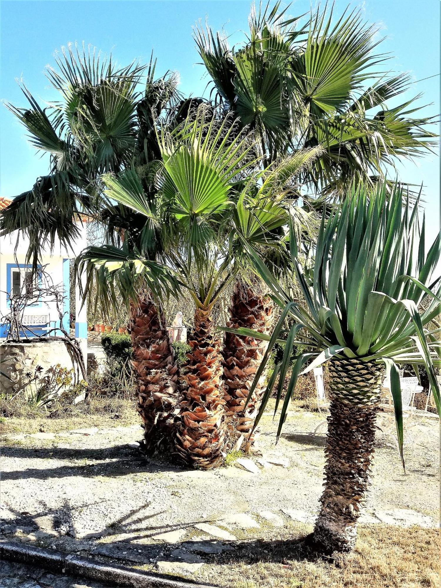 Villa Agua Rocha Serra de Mangues Zimmer foto